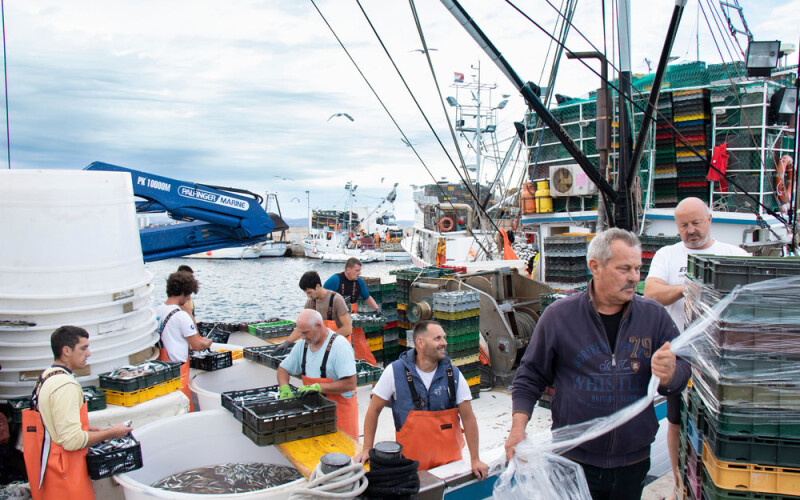 Fishers sorting catch