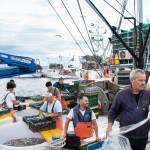 Fishers sorting catch