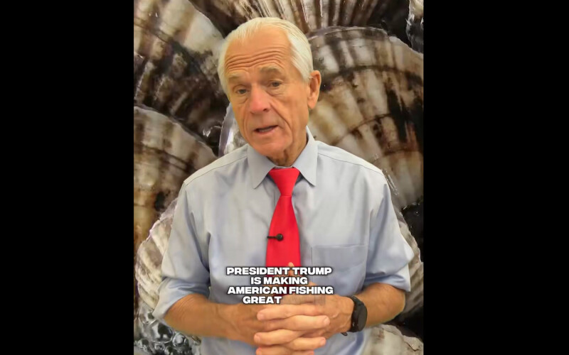 White House Senior Counselor for Trade and Manufacturing Peter Navarro