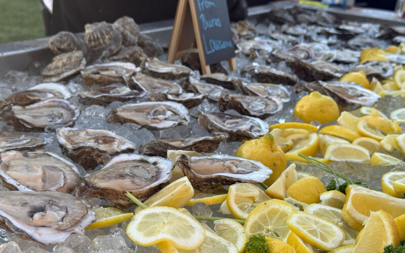 oysters