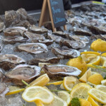 oysters