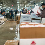 Fulton Fish Market