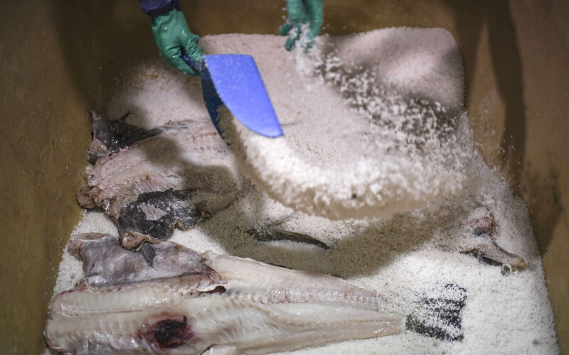 A cod processing facility salting cod in Portugal