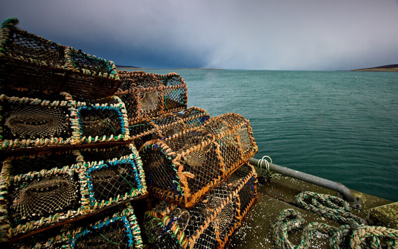 Crab/lobster traps