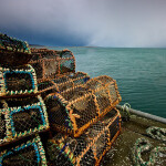 Crab/lobster traps