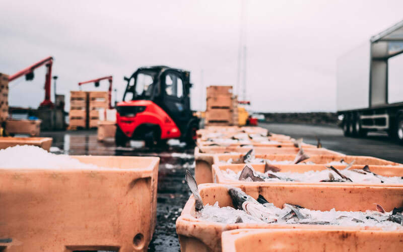 Seafood being shipped out of a harbor