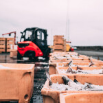 Seafood being shipped out of a harbor