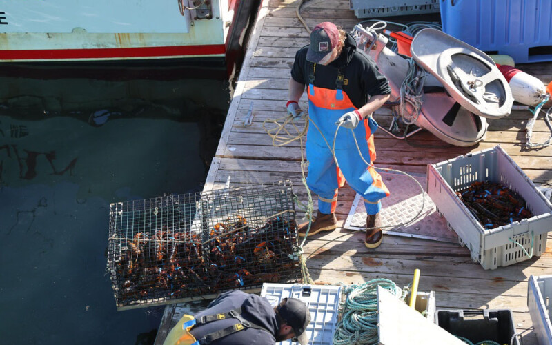 a lobsterman