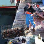 a lobsterman