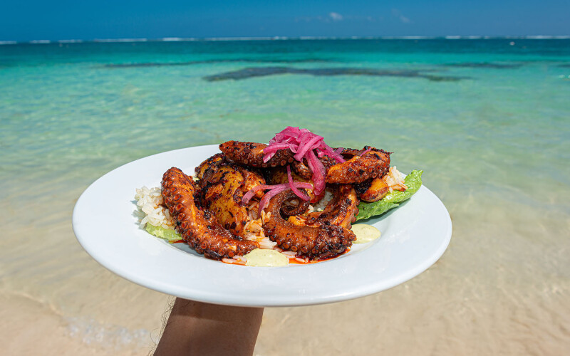 A person holding grilled octopus up to Caribbean waters