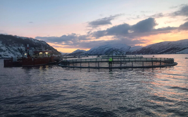 Arctic Seafood Group net pens in Norway