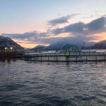 Arctic Seafood Group net pens in Norway