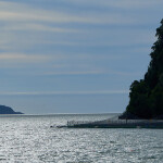 A Chilean salmon farm