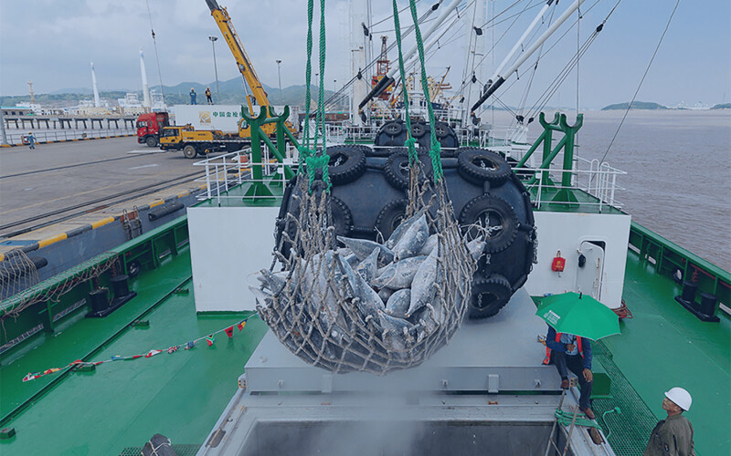 A Pingtai Rong tuna vessel