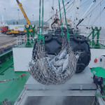 A Pingtai Rong tuna vessel