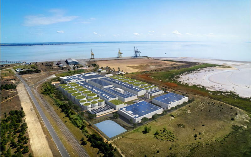 A rendering of an aerial view of Pure Salmon's planned salmon RAS