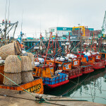 Argentinian port of Mar del Plata