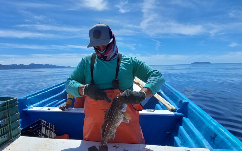 Mexican small-scale fisher