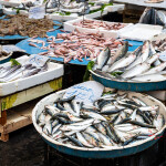 A seafood market in Naples, Italy