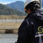 A Sernapesca working at a Chilean salmon net pen
