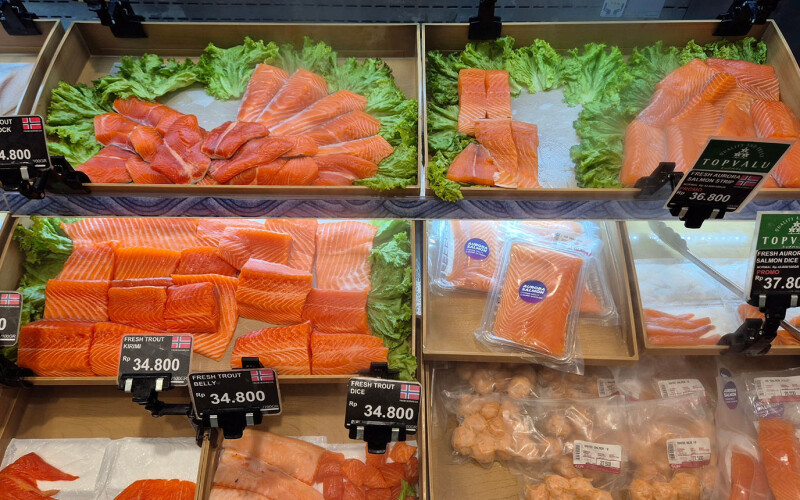 salmon from Norway for sale