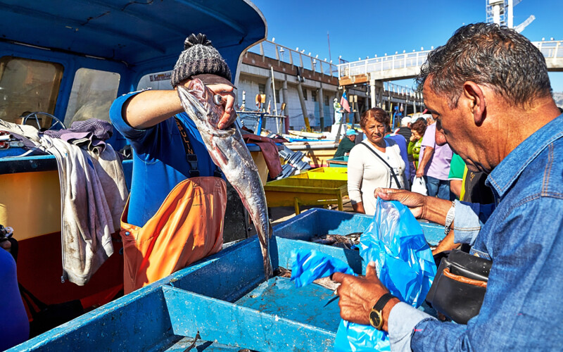 Fishermen at a dock in Valparaiso, Chile