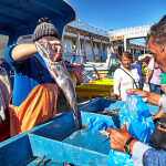 Fishermen at a dock in Valparaiso, Chile