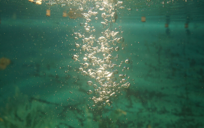Bubbles floating underwater