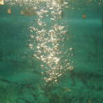 Bubbles floating underwater
