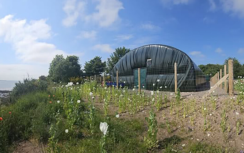 A prawn RAS facility in Scotland