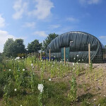 A prawn RAS facility in Scotland