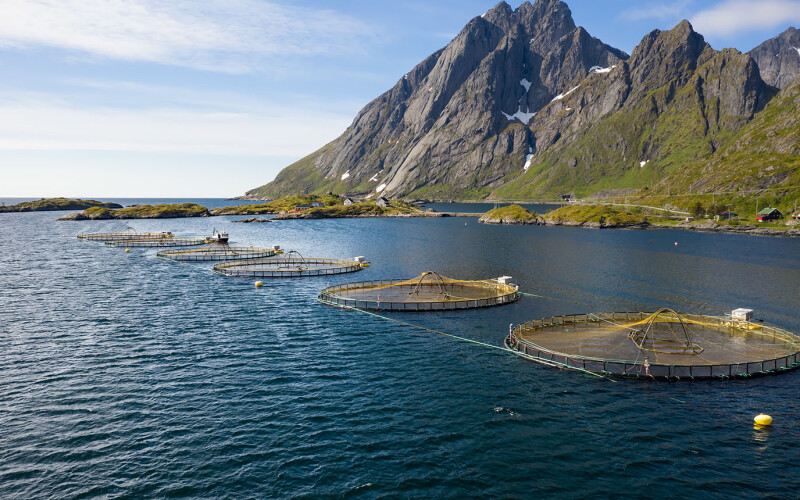 fish farm in Norway
