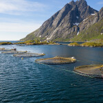fish farm in Norway