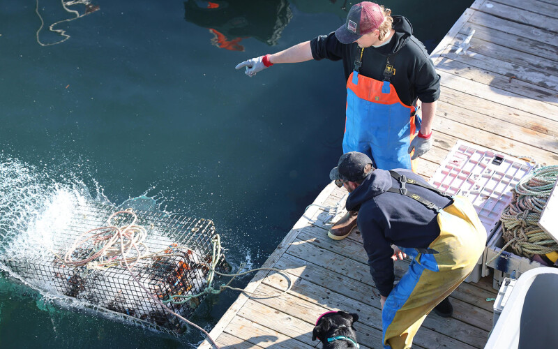 Two lobstermen on a dock throwing a trap into the water