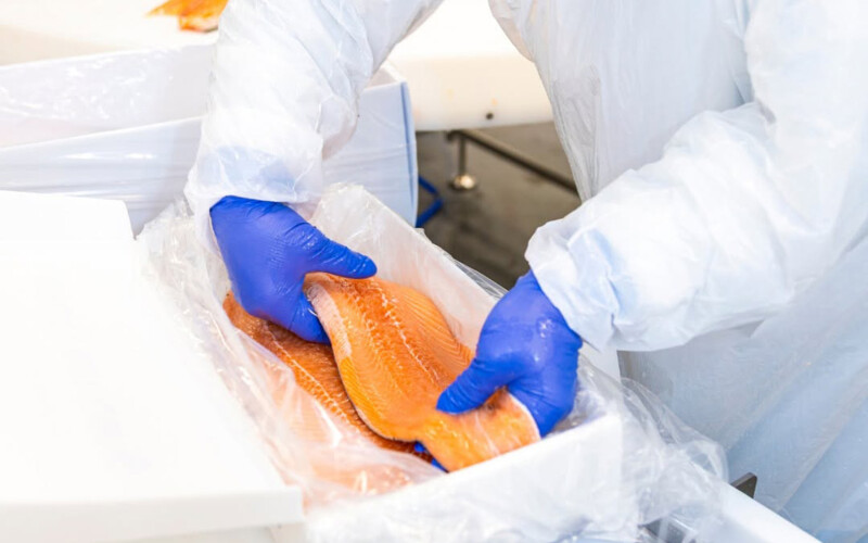 A person holding a fillet of salmon