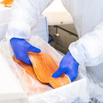 A person holding a fillet of salmon