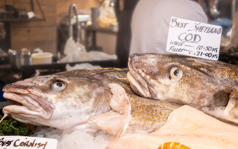 Cod from the Shetland Islands at a London auction