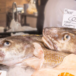 Cod from the Shetland Islands at a London auction