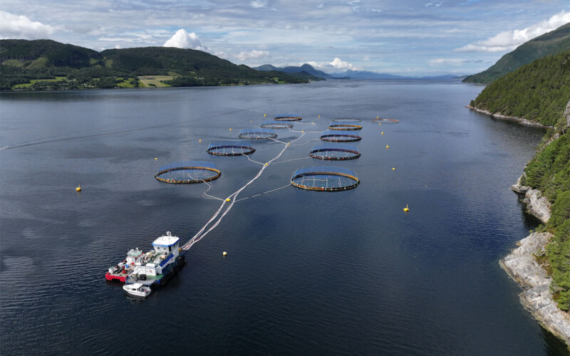 An aerial view of one of Ode's cod farms in Norway