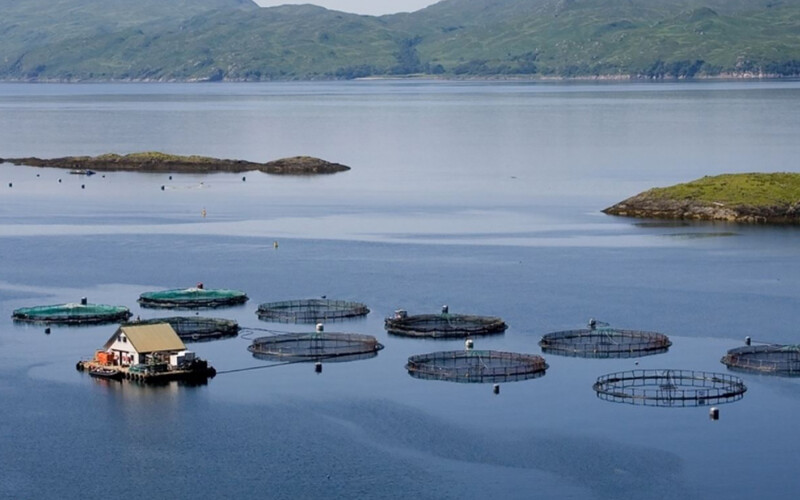 A Scottish fish farm