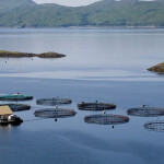 A Scottish fish farm