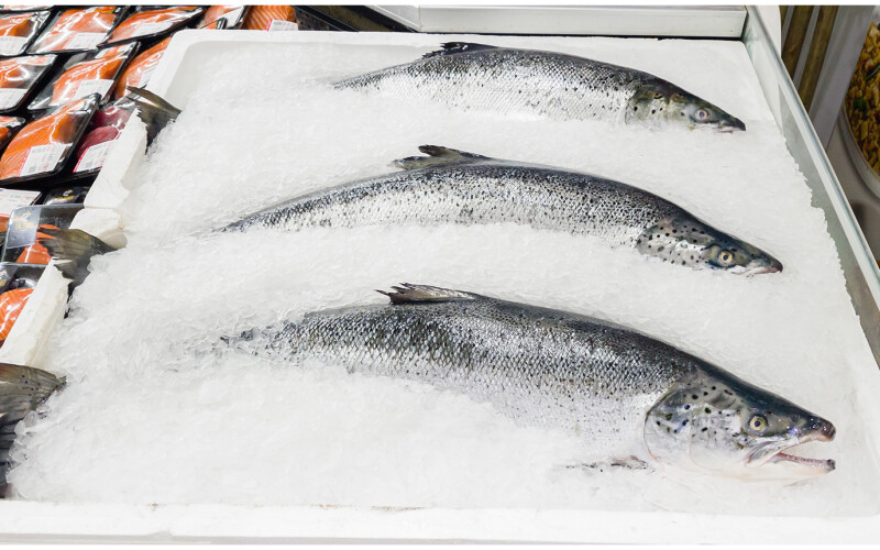 salmon in ice at a store