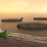 A rendering by Unity Marine of its planned aquaculture operation