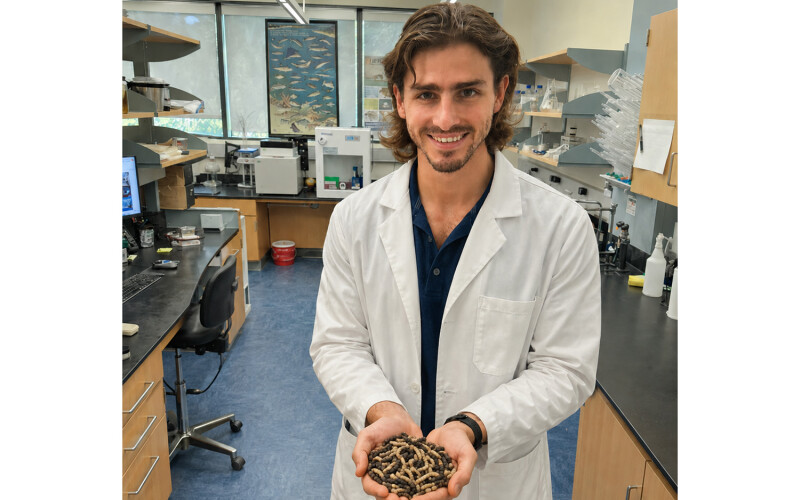 Julio Camperio, Ph.D., in the Aquaculture Nutrition and Biotech Laboratory at the Rosenstiel School, holding black soldier fly larvae
