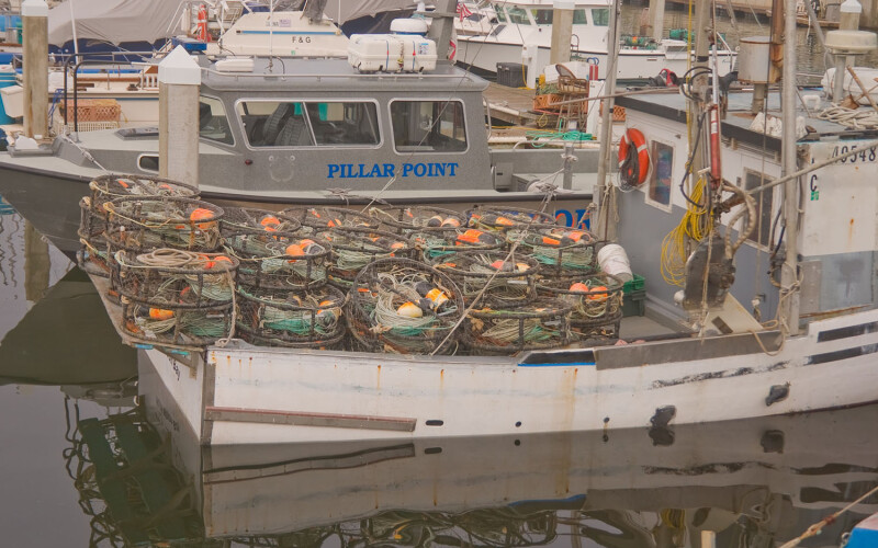Commercial Dungeness crab fishing vessel