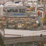 Commercial Dungeness crab fishing vessel