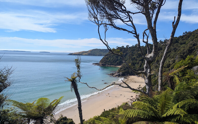 Stewart Island, New Zealand