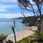 Stewart Island, New Zealand