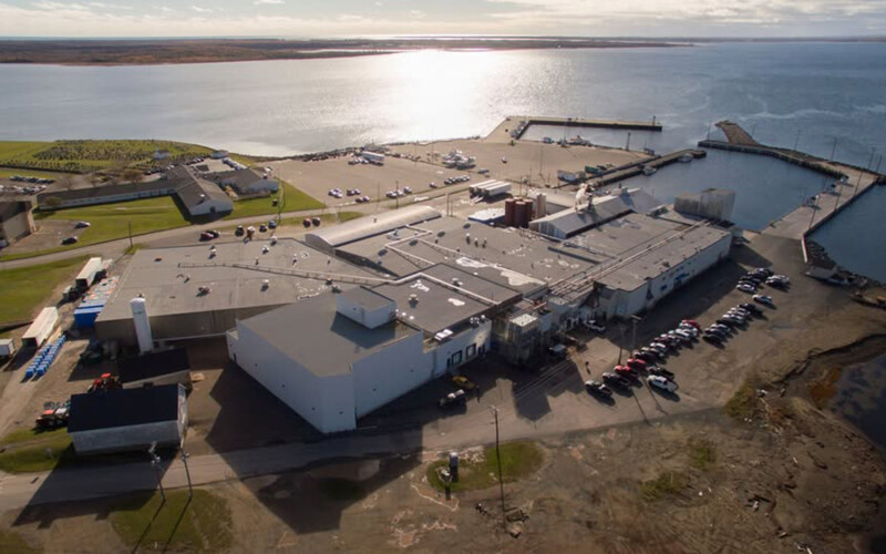 An aerial view of the Island Fishermen’s Cooperative Association's processing facility in New Brunswick