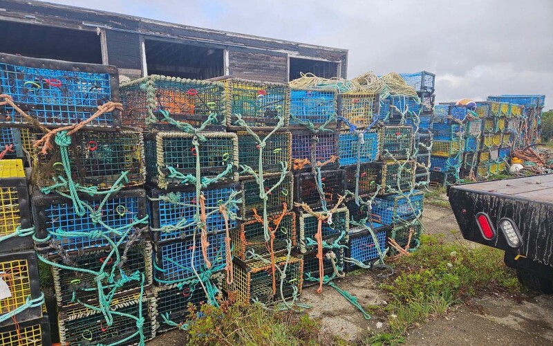 A pile of lobster traps seized by authorities